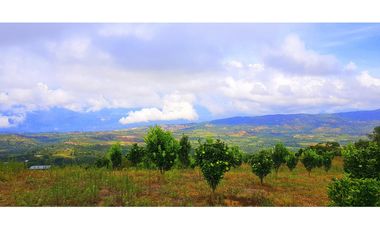 Vendo Finca Barichara Vereda San jose Los Gaques