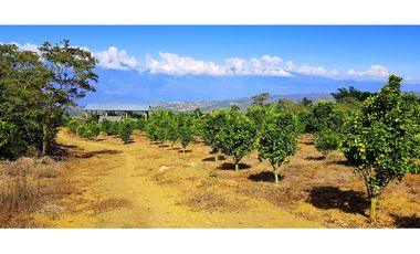 Vendo Finca Barichara Vereda San jose Los Gaques