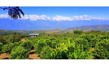 Vendo Finca Barichara Vereda San jose Los Gaques