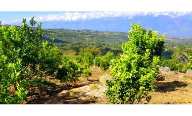 Vendo Finca Barichara Vereda San jose Los Gaques