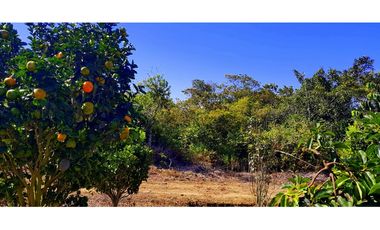Vendo Finca Barichara Vereda San jose Los Gaques