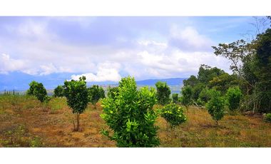 Vendo Finca Barichara Vereda San jose Los Gaques