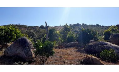 Vendo Finca Barichara Vereda San jose Los Gaques