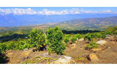 Vendo Finca Barichara Vereda San jose Los Gaques