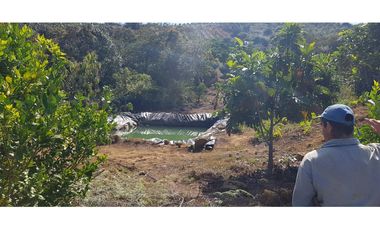 Vendo Finca Barichara Vereda San jose Los Gaques