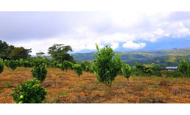 Vendo Finca Barichara Vereda San jose Los Gaques