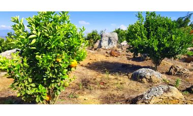 Vendo Finca Barichara Vereda San jose Los Gaques