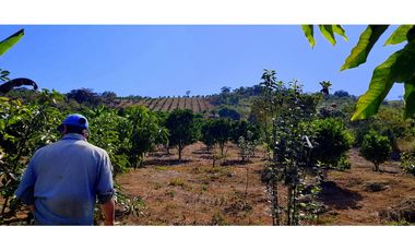 Vendo Finca Barichara Vereda San jose Los Gaques