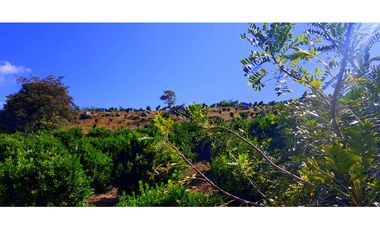 Vendo Finca Barichara Vereda San jose Los Gaques