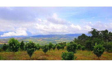 Vendo Finca Barichara Vereda San jose Los Gaques