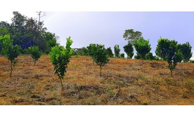 Vendo Finca Barichara Vereda San jose Los Gaques