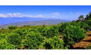 Vendo Finca Barichara Vereda San jose Los Gaques