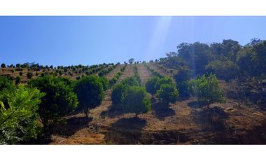 Vendo Finca Barichara Vereda San jose Los Gaques