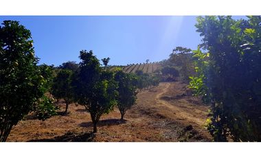 Vendo Finca Barichara Vereda San jose Los Gaques
