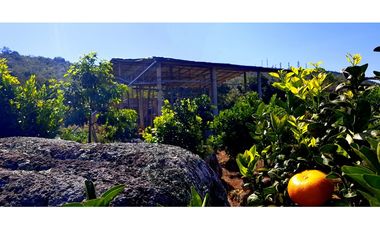 Vendo Finca Barichara Vereda San jose Los Gaques