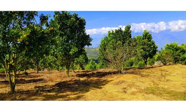 Vendo Finca Barichara Vereda San jose Los Gaques