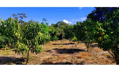 Vendo Finca Barichara Vereda San jose Los Gaques