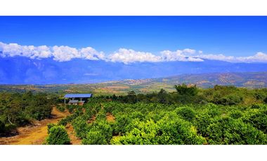 Vendo Finca Barichara Vereda San jose Los Gaques
