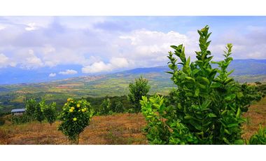 Vendo Finca Barichara Vereda San jose Los Gaques
