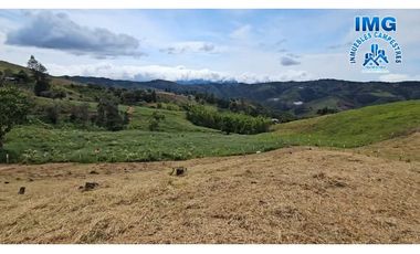 ref 949a LOTES LAS BRISAS 2 MODELO ORIGINAL