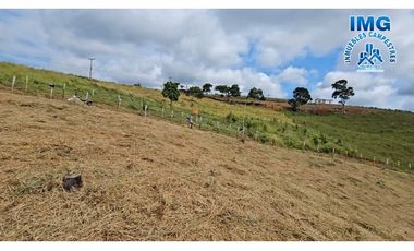 ref 949a LOTES LAS BRISAS 2 MODELO ORIGINAL