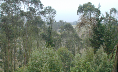 Vendo linda finca con potencial 6 fanegadas en Bojacá, C/marca.