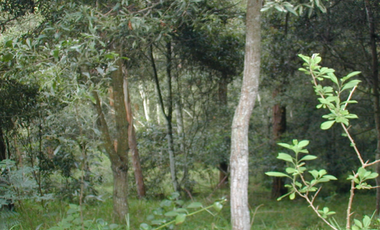 Vendo linda finca con potencial 6 fanegadas en Bojacá, C/marca.