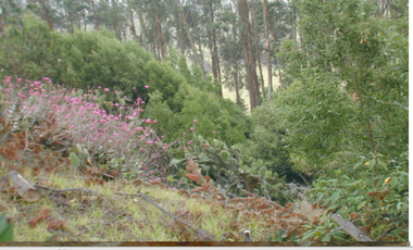 Vendo linda finca con potencial 6 fanegadas en Bojacá, C/marca.