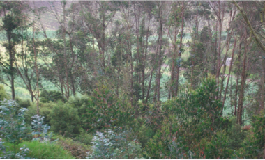Vendo linda finca con potencial 6 fanegadas en Bojacá, C/marca.