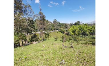 PARCELA EN VENTA EN EL SECTOR LOS ROBLES, VA PANAMERICANA, TIMBIO
