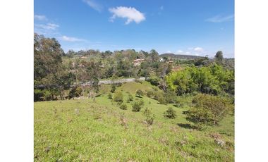 PARCELA EN VENTA EN EL SECTOR LOS ROBLES, VA PANAMERICANA, TIMBIO
