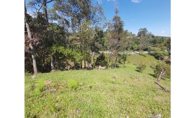 PARCELA EN VENTA EN EL SECTOR LOS ROBLES, VA PANAMERICANA, TIMBIO