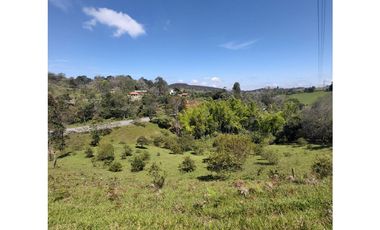 PARCELA EN VENTA EN EL SECTOR LOS ROBLES, VA PANAMERICANA, TIMBIO