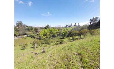 PARCELA EN VENTA EN EL SECTOR LOS ROBLES, VA PANAMERICANA, TIMBIO