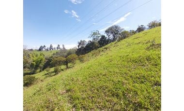 PARCELA EN VENTA EN EL SECTOR LOS ROBLES, VA PANAMERICANA, TIMBIO