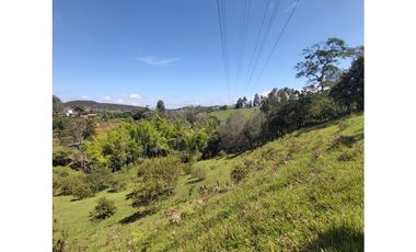 PARCELA EN VENTA EN EL SECTOR LOS ROBLES, VA PANAMERICANA, TIMBIO