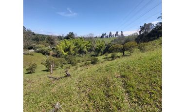 PARCELA EN VENTA EN EL SECTOR LOS ROBLES, VA PANAMERICANA, TIMBIO