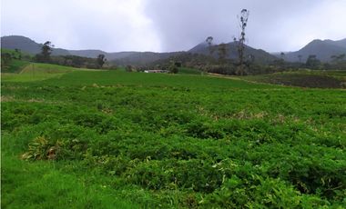 FINCA DE 15,70 FANG.  CALERA CUNDINAMARCA