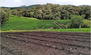 FINCA DE 15,70 FANG.  CALERA CUNDINAMARCA