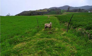 FINCA DE 15,70 FANG.  CALERA CUNDINAMARCA
