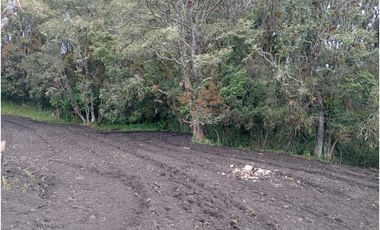 FINCA DE 15,70 FANG.  CALERA CUNDINAMARCA