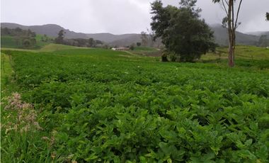 FINCA DE 15,70 FANG.  CALERA CUNDINAMARCA