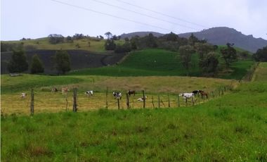 FINCA DE 15,70 FANG.  CALERA CUNDINAMARCA