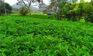 FINCA DE 15,70 FANG.  CALERA CUNDINAMARCA