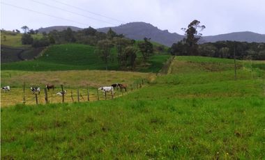 FINCA DE 15,70 FANG.  CALERA CUNDINAMARCA
