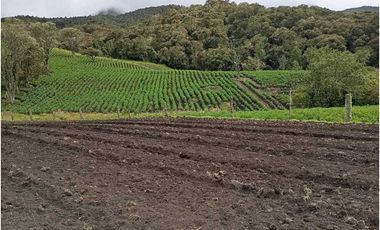 FINCA DE 15,70 FANG.  CALERA CUNDINAMARCA