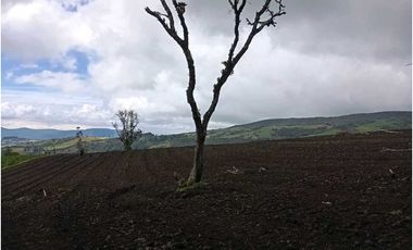 FINCA DE 15,70 FANG.  CALERA CUNDINAMARCA
