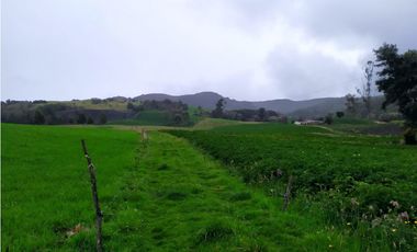 FINCA DE 15,70 FANG.  CALERA CUNDINAMARCA