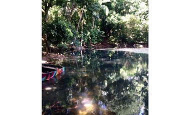 Finca de Mangos Santa Marta Colombia