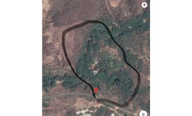 Finca de Mangos Santa Marta Colombia